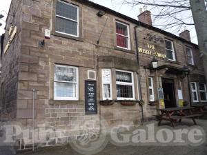 Picture of The White Swan