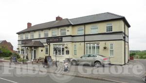 Picture of Dusty Miller