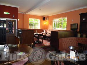 Picture of White Horse