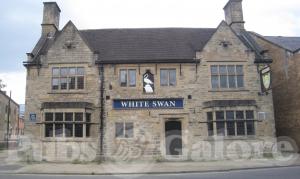 Picture of White Swan