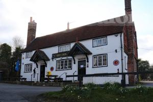 Picture of Red Lion