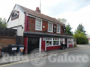 Picture of The White Lion