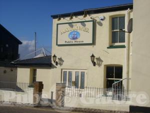Picture of The Mayflower
