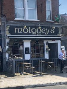Picture of Moloney's