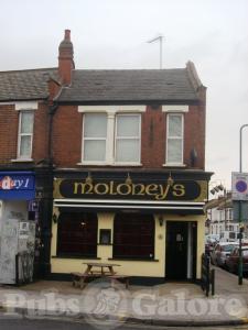 Picture of Moloney's