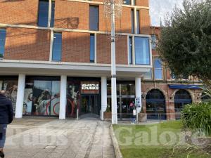 Picture of Whistle Punks