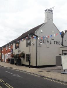 Picture of The Olive Tree