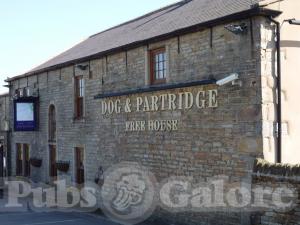 Picture of Dog & Partridge