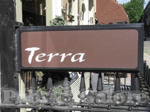 Picture of Terra