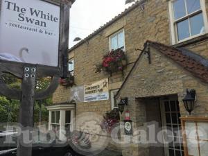 Picture of The White Swan
