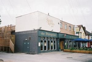 Picture of The Peregrine