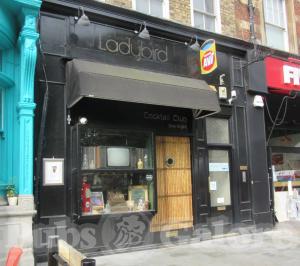 Picture of Ladybird