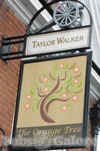 Picture of The Orange Tree