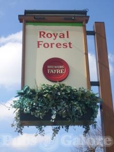 Picture of Royal Forest