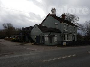 Picture of The Runner