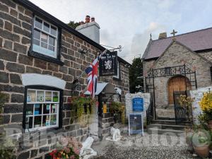 Picture of White Lion