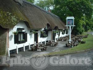 Picture of The Cat & Fiddle