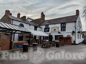 Picture of Green Dragon