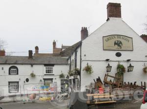 Picture of Green Dragon
