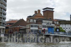 Picture of Swan at the Globe
