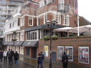 Picture of Swan at the Globe