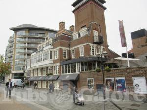 Picture of Swan at the Globe