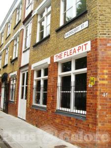 Picture of The FleaPit