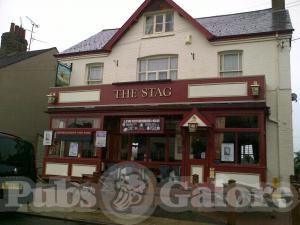 Picture of The Stag