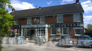 Picture of The Cricketers