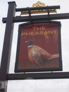 Picture of The Pheasant