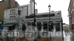 Picture of The Bull