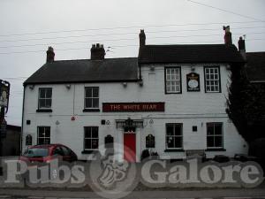 Picture of White Bear