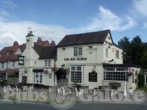 Picture of The Bay Horse