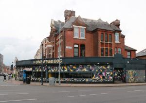 Picture of One Eyed Dog