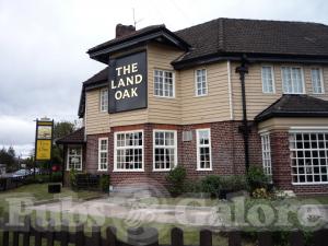 Picture of Land Oak