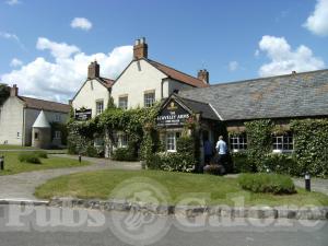 Picture of Stags Head