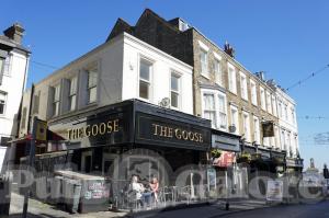 Picture of The Goose