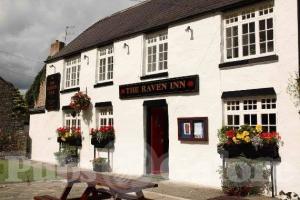 Picture of The Raven