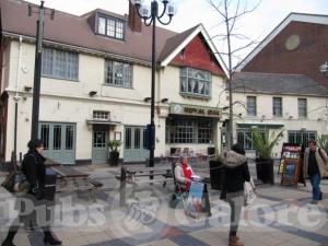 Picture of Royal Oak