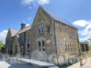 Picture of Penny Bun