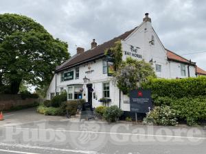 Picture of The Bay Horse