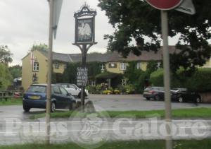 Picture of The Swan