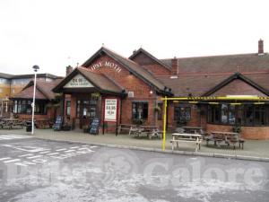 Picture of Gipsy Moth
