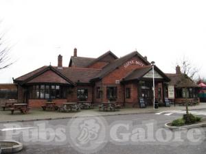 Picture of Gipsy Moth