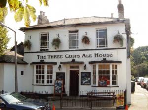 Picture of The Three Colts Ale House