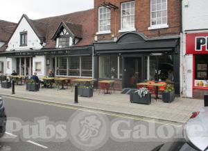 Picture of The Peach Tree