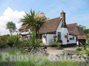 Picture of The White Swan