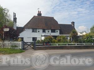 Picture of The White Swan