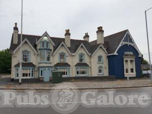 Picture of Ego at The Forest