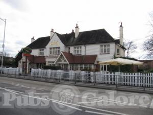Picture of The Greyhound